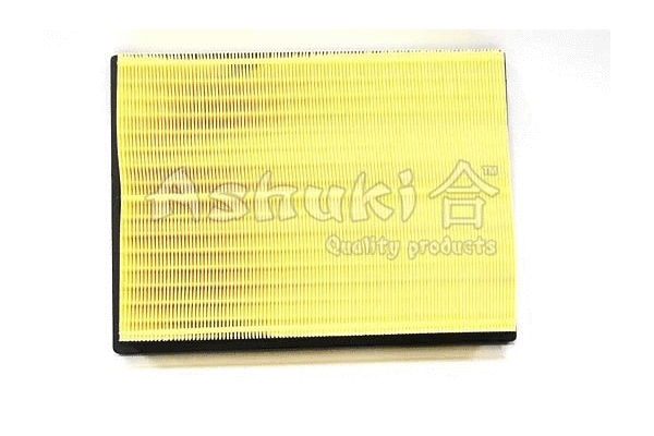 Air Filter (T108-65)