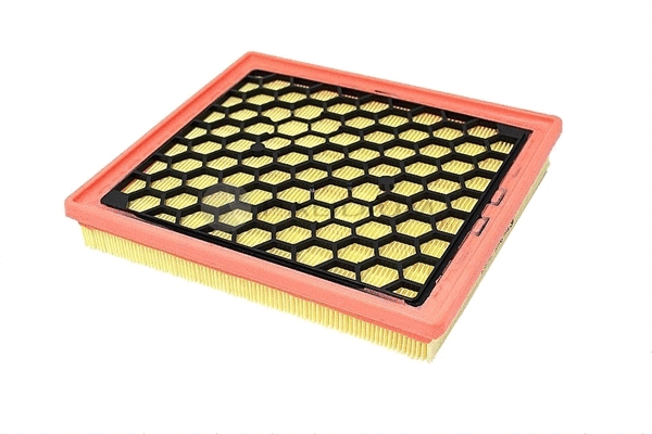 Air Filter (PAL2-2513)