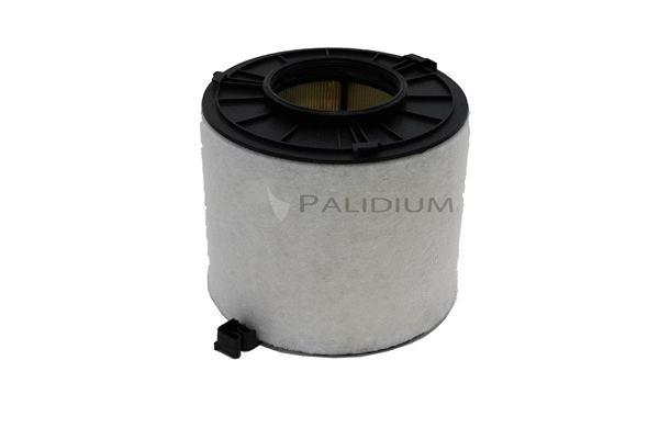Air Filter (PAL2-2529)