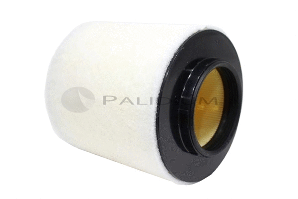 Air Filter (PAL2-2200)