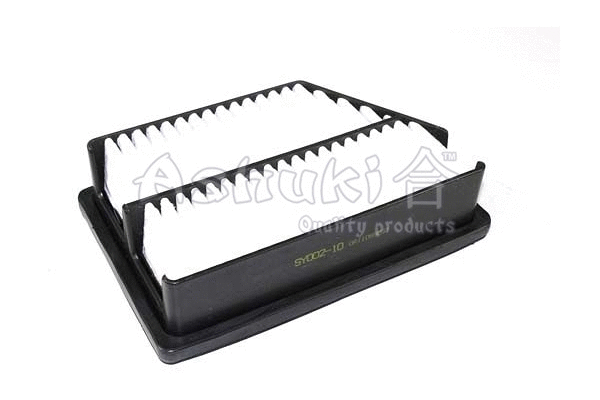 Air Filter (SY002-10)