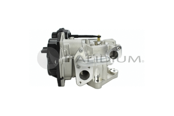 EGR Valve (PAL16-0009)