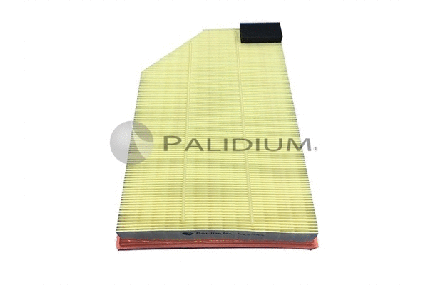 Air Filter (PAL2-2069)