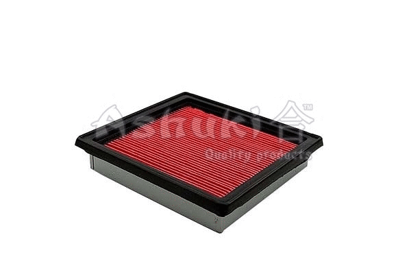 Air Filter (N002-55)