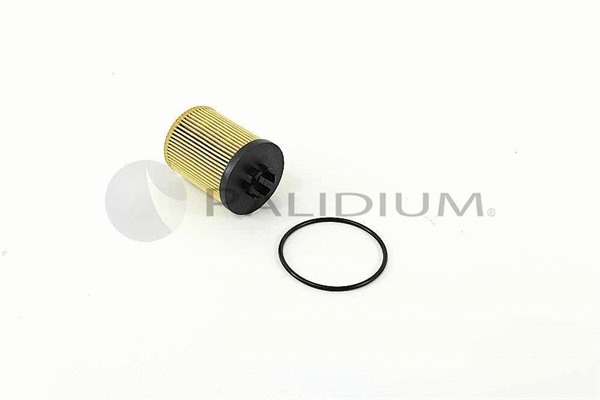 Oil Filter (PAL2-8016)