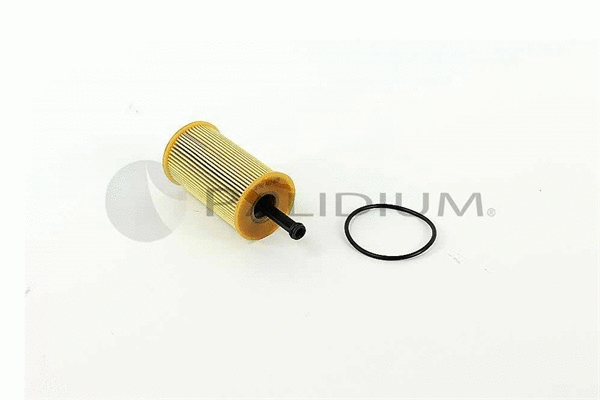 Oil Filter (PAL2-8008)