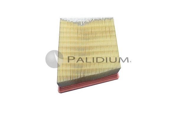 Air Filter (PAL2-2070)