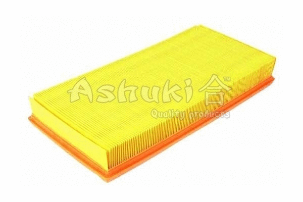 Air Filter (C057-10)