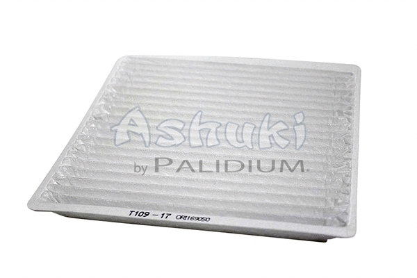 Filter, cabin air (T109-17)