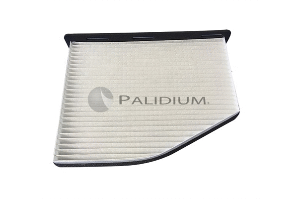 Filter, cabin air (PAL2-4001)