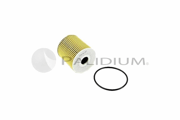Oil Filter (PAL2-8013)
