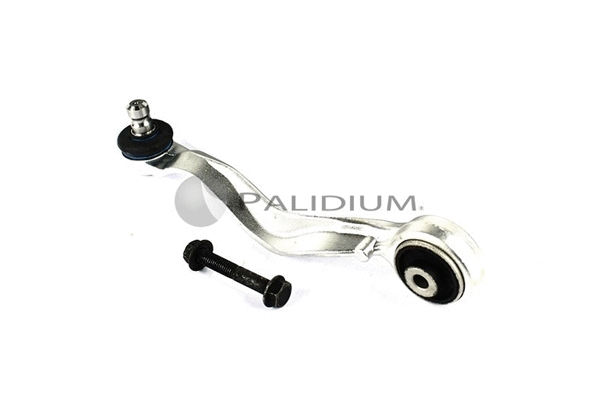 Control/Trailing Arm, wheel suspension (PAL5-6020)