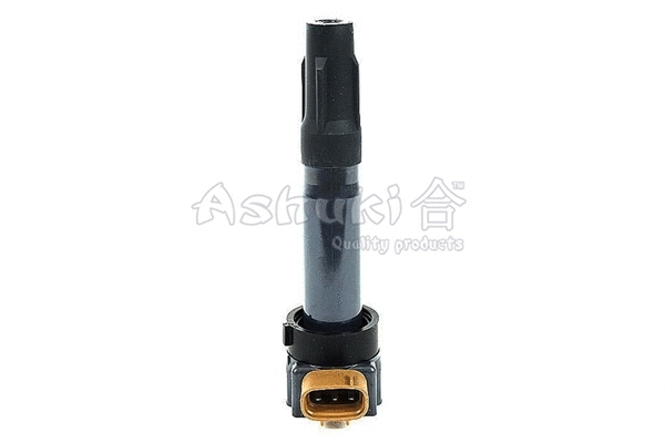 Ignition Coil (K975-20)