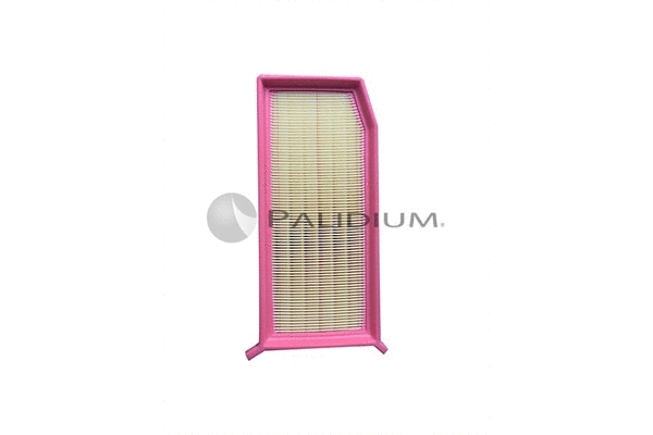 Air Filter (PAL2-2100)