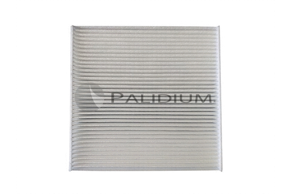 Filter, cabin air (PAL2-4050)