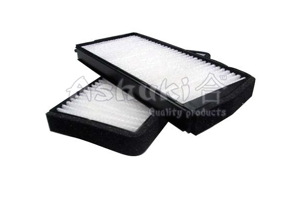 Filter, cabin air (M030-17)