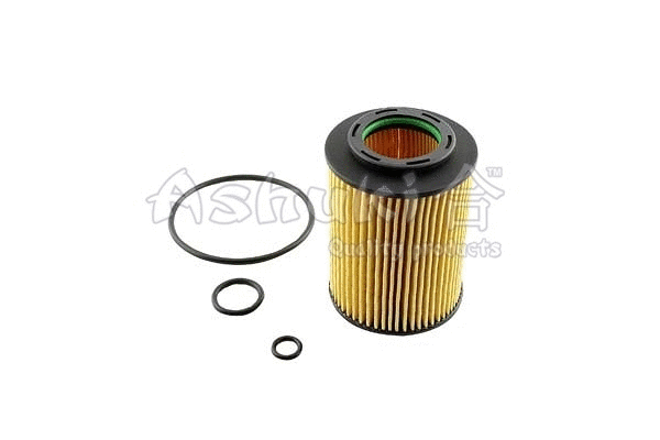 Oil Filter (H097-50)