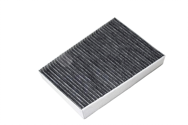 Filter, cabin air (PAL2-4389)