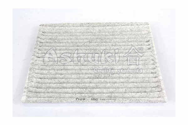 Filter, cabin air (T109-15C)