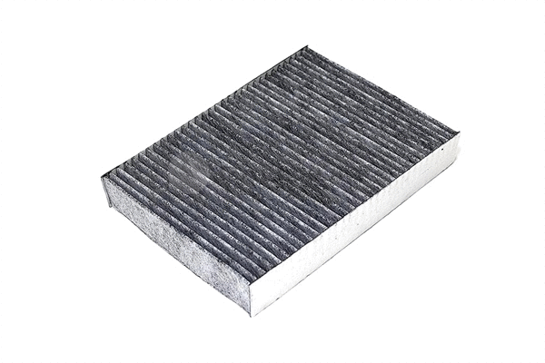 Filter, cabin air (PAL2-4385)