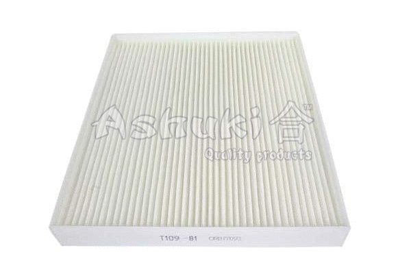 Filter, cabin air (T109-81)