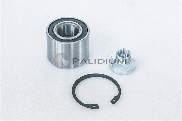 Wheel Bearing Kit (PAL6-1076)