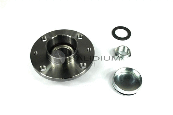 Wheel Bearing Kit (PAL6-2011)