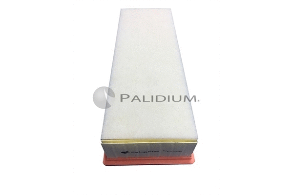 Air Filter (PAL2-2138)