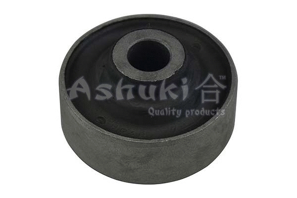 Mounting, control/trailing arm (1269-6008)