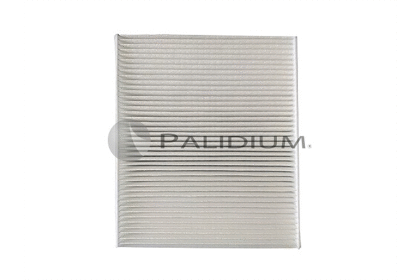 Filter, cabin air (PAL2-4038)