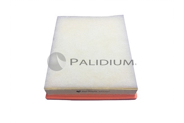 Air Filter (PAL2-2232)