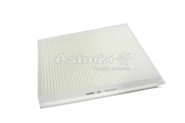 Filter, cabin air (H098-25)