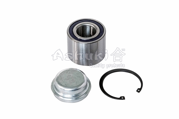 Wheel Bearing Kit (K803-21)