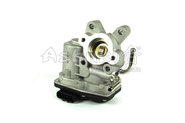 EGR Valve (S222-01)
