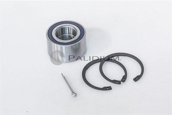Wheel Bearing Kit (PAL6-1024)