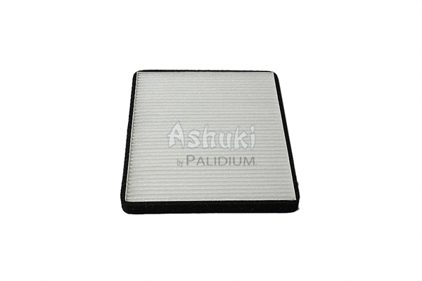 Filter, cabin air (K005-10I)