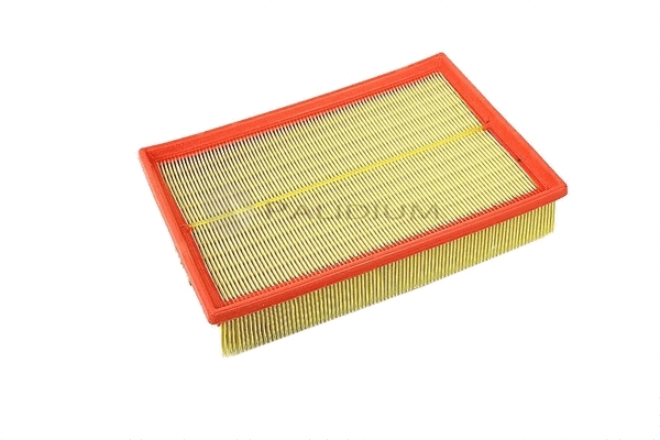 Air Filter (PAL2-2512)