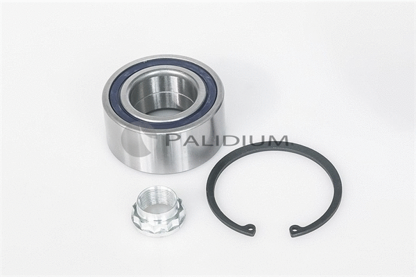Wheel Bearing Kit (PAL6-1067)
