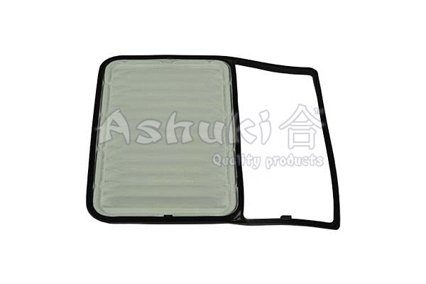 Air Filter (0396-6206)