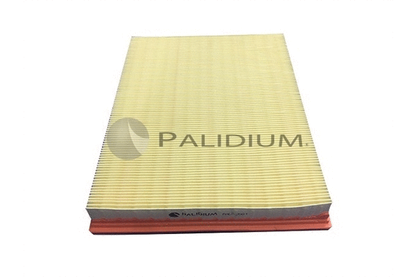 Air Filter (PAL2-2001)