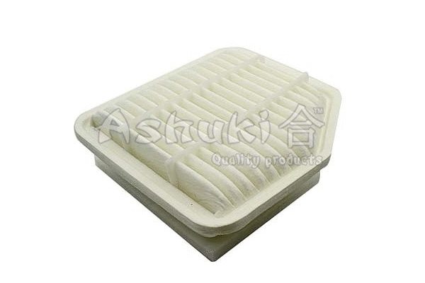 Air Filter (T108-20)