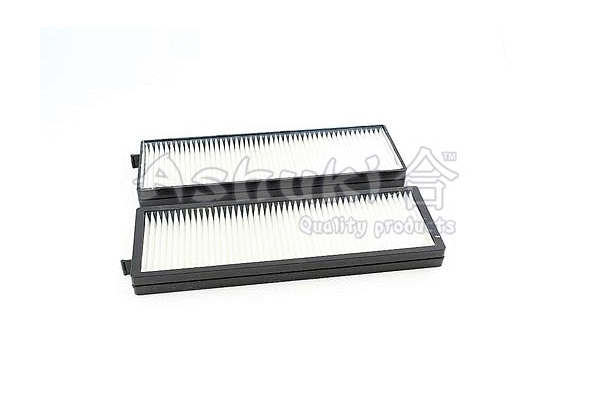 Filter, cabin air (Y030-55)