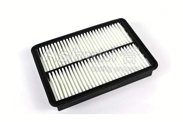 Air Filter (I015-30)