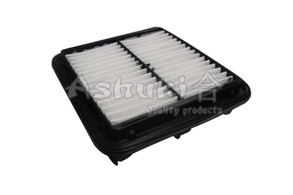 Air Filter (D163-01)