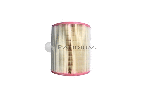 Air Filter (PAL2-2106)