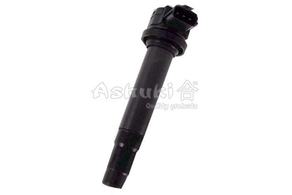 Ignition Coil (1608-6001)
