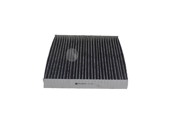 Filter, cabin air (PAL2-4402)