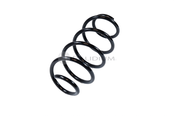 Suspension Spring (PAL10-0010)