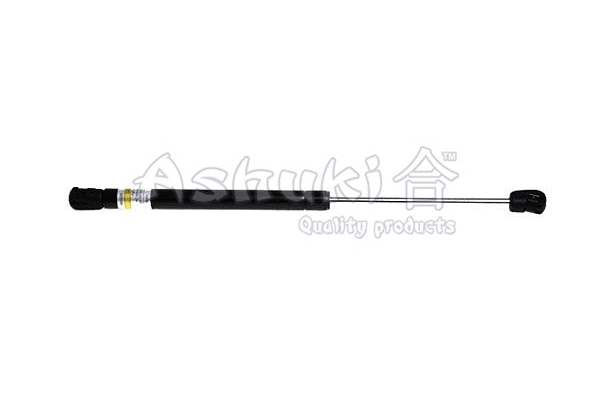 Gas Spring, rear window (Y927-02)