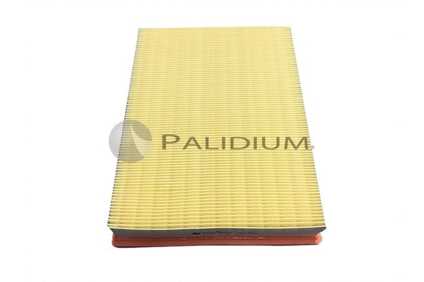 Air Filter (PAL2-2050)